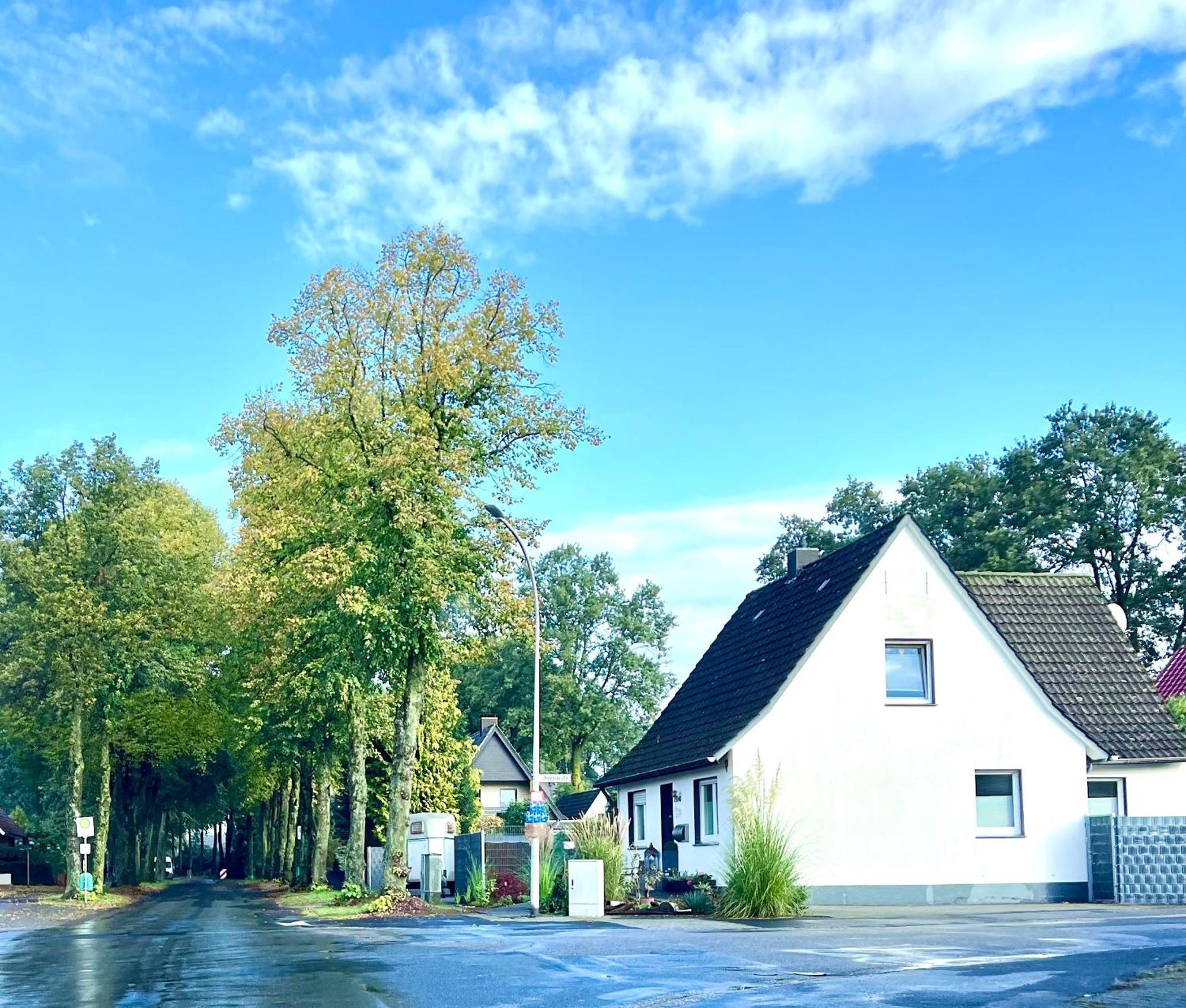 שוטורף Allee Zum See מראה חיצוני תמונה